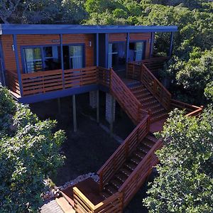 Treetop Guesthouse 伊丽莎白港 Exterior photo