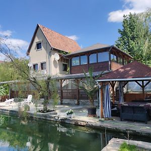 Romantic Lakeside Retreat - Nature Sport Near Bp Szigetszentmiklós Exterior photo