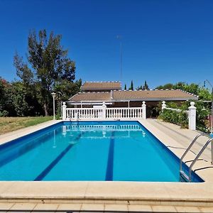 Nice Villa With Private Pool Near Seville 埃尔加罗沃 Exterior photo