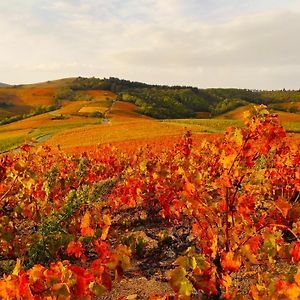 Le Panoramic Chiroubles Beaujolais别墅 Exterior photo