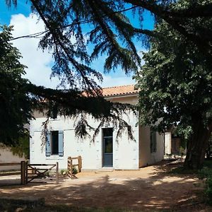 Maison Proche St Emilion - Luxe Abzac  Exterior photo