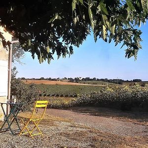 Gite Samaret Gers En Gascogne Lagardere Exterior photo