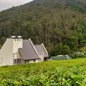 Wintry Hills-Nuwara Eliya公寓 Exterior photo