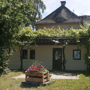 Villa Julchen Comfortable Holiday Residence Bochingen Exterior photo