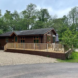 The Willows, Herons Brook Narberth, Private Lodges Exterior photo