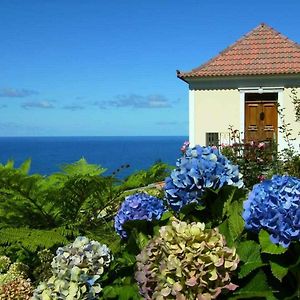 Quinta Das Hortensias Arco de São Jorge Exterior photo