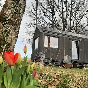 L'Envolee Ecolodge, Tiny House Au Coeur Des Vignes Loches-sur-Ource Exterior photo