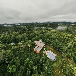 Villas Corcovado-Ac-Jacuzzi-Pool-Great Views-Nature-Relaxing Puerto Jiménez Exterior photo