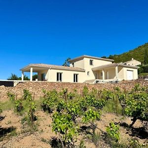 Villa L'Esquirrol With View And Pool Roquebrun Exterior photo