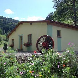 Gite Au Pied Du Grand Ballon 瑞姆巴赫普莱斯格布维尔 Exterior photo