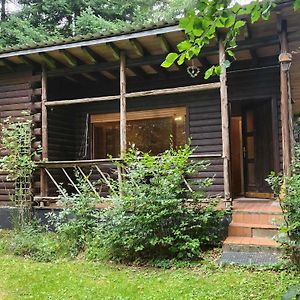 Nice House With Sauna And Steam Bath In A Forest Sellerich Exterior photo