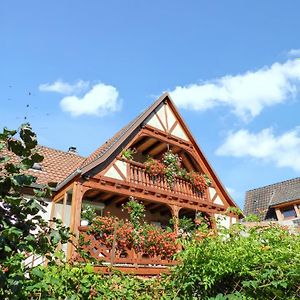 Maison De 2 Chambres Avec Jardin Clos Et Wifi A Triembach Au Val Exterior photo