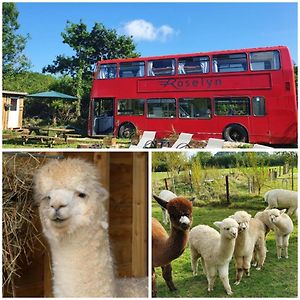 博维特蕾西Double Decker Bus On An Alpaca Farm Sleeps 8, 5 Mins Drive To Dartmoor别墅 Exterior photo