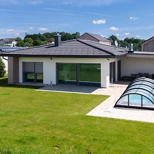 Villa Mit Pool In Stegersbach Burgauberg-Neudauberg Exterior photo