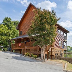 Beautiful 4 Bedroom Cabin In Starr Crest Resort With Hot Tub And Pool Table 塞维尔维尔 Exterior photo