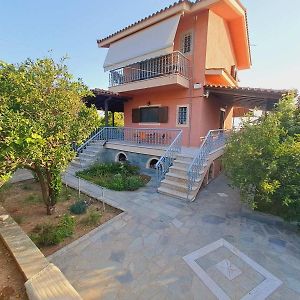 Aigeira Seafront Vacation Home 0 Floor Oikonomaiika Exterior photo