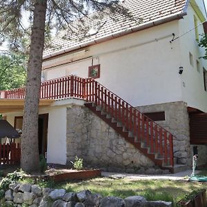 AbaligetMadarles Vendeghaz别墅 Exterior photo