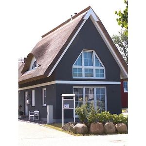 Starfish Comfortable Holiday Residence Vieregge Exterior photo