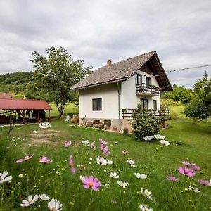 Holiday House With A Parking Space Hreljin Ogulinski, Gorski Kotar - 23162 Exterior photo