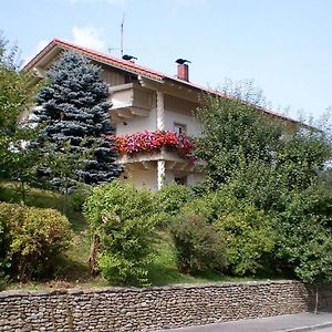 Family- Friendly Apartment In Bavarian Forest Prackenbach Exterior photo