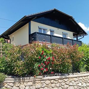 Vineyard Cottage Tilka 新梅斯托 Exterior photo