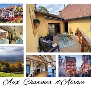 索尔茨马特Aux Charmes D'Alsace别墅 Exterior photo