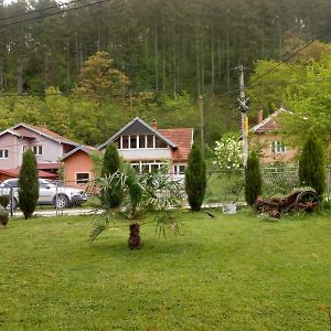 Apartmani Miodragovic Vrnjačka Banja Exterior photo