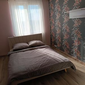 Apartament Comfort 皮什 Room photo