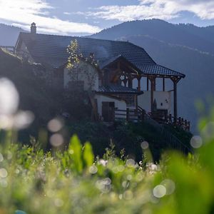 Cerem Zeneli Alpin Chalet酒店 Exterior photo