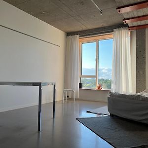 Serene Studio With Park View - Minimalist Haven With Panoramic Windows 哥本哈根 Exterior photo