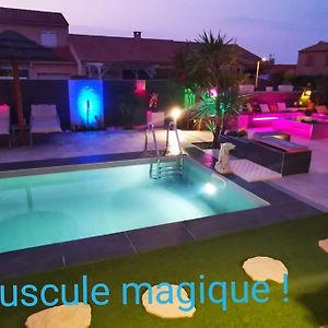 A Nice Villa With Pool And Spa, Cool Garden! Laroque-des-Albères Exterior photo