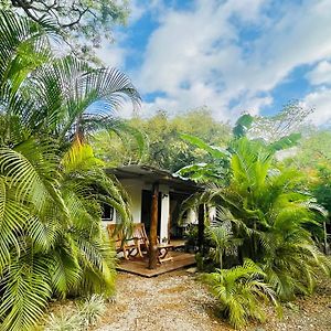 Villa Ecomar Nosara - Front Beach Exterior photo