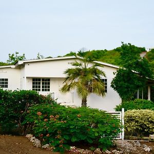 Fonteinzen - Home With Big Garden At Fontein 威廉斯塔德 Exterior photo