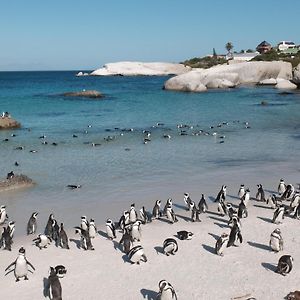 Penguin Haven . Luxury 2 Bedroom, Boulders Beach. 开普敦 Exterior photo