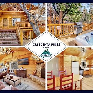 大熊湖2346-Crescenta Pines Log Cabin Cabin别墅 Exterior photo