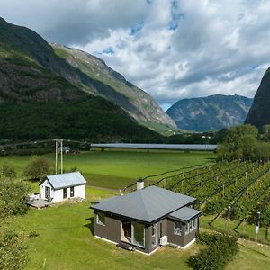 Jordeplegarden Holiday Home - Part Of A Farm - Two Buildings - Close To Flam Lærdalsøyri Exterior photo