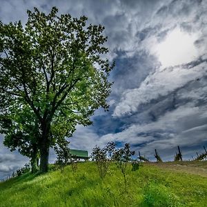 Small House Monferrato Fontanile Exterior photo