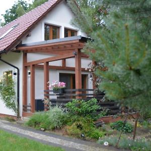 Large Holiday Home Czapiewice Exterior photo