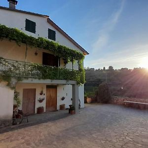 Colonica Peroni - Tipica Casa Contadina Toscana Pelago Exterior photo