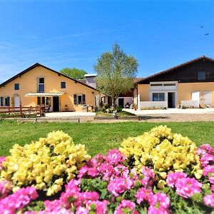 appartement le refuge d'Eugénie Bahus-Soubiran Exterior photo