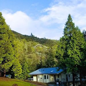 Starlink Mariposa Yosemite mountain retreat别墅 Exterior photo