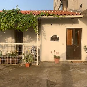 雷焦卡拉布里亚Nuccia'S House公寓 Exterior photo