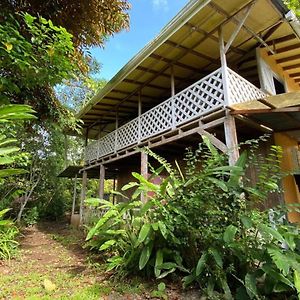 Finca Del Pueblo Jungle Sun Apartment Puerto Viejo de Talamanca Exterior photo