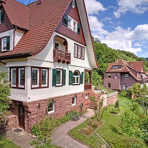 Familiengluck Im Schwarzwaldhaus Mit Schlossblick 诺伊恩比尔格 Exterior photo