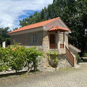 瓦泽拉Quinta Da Cavada - Casa Da Tertulia别墅 Exterior photo