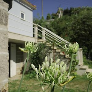 阿尔库什迪瓦尔德维什Quinta Da Costeira - Casa Azul Do Limoal By Alponte别墅 Exterior photo