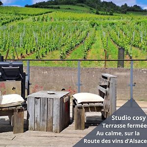 贝尔盖姆Au Pied Des Vignes, Cocon Douillet Et Chaleureux !公寓 Exterior photo