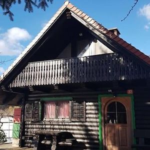 克拉尼Chalet Kujavnk别墅 Exterior photo