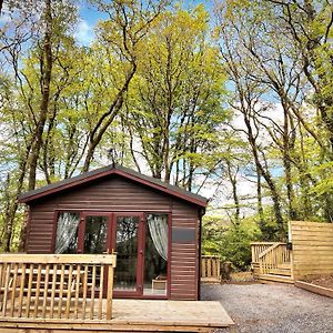 Woodland View -Hot Tub-Tenby-Carmarthen-圣克莱尔斯 Exterior photo