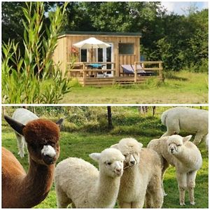 博维特蕾西Dartmoor Reach Alpaca Farm Heated Cabins 5 Mins Drive To Dartmoor别墅 Exterior photo